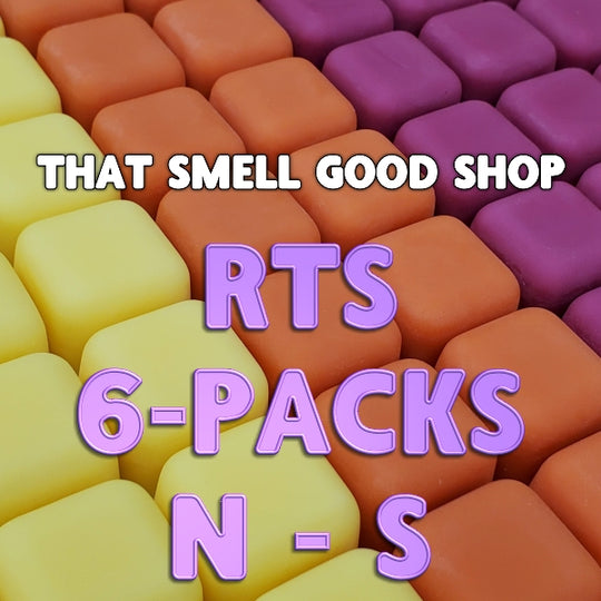 RTS 6-pack Wax Melt Tarts ~ N - S