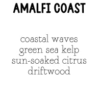 RTS Perfume Mist Mini