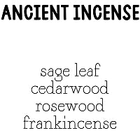 RTS 6-pack Wax Melts