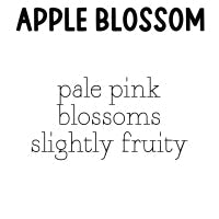 RTS 2-pack Wax Melt Tarts