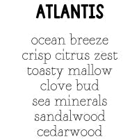 RTS 2-pack Wax Melts