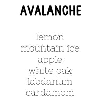 RTS 6-pack Wax Melt Tarts