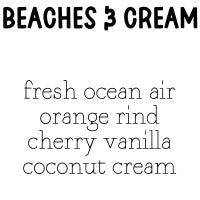 RTS 6-pack Wax Melt Tarts