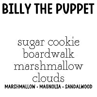 RTS 2-pack Wax Melts