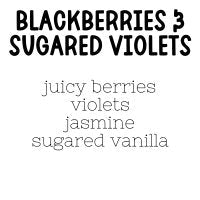 RTS 6-pack Wax Melts