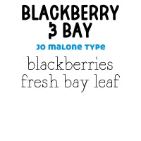 RTS 2-pack Wax Melts