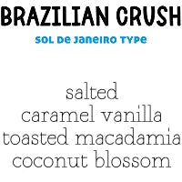 RTS 6-pack Wax Melt Tarts