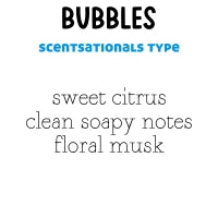 RTS 2-pack Wax Melts