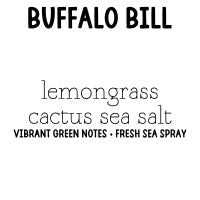 RTS 2-pack Wax Melt Tarts