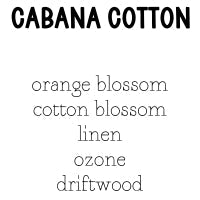 RTS Dry Oil Body Spray 2 oz