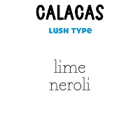 RTS 6-pack Wax Melt Tarts