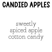 RTS 6-pack Wax Melts