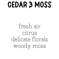 RTS Perfume Mist