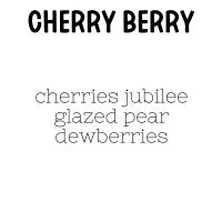 RTS 2-pack Wax Melts