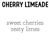 RTS 2-pack Wax Melts