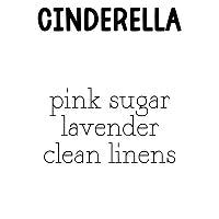 RTS 6-pack Wax Melts