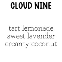RTS Cleansing Sugar Body Scrub Small