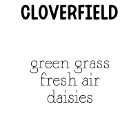 RTS Dry Oil Body Spray 2 oz