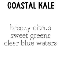 RTS Carpet & Room Refresher