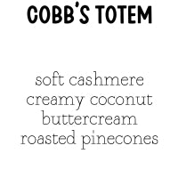 RTS 2-pack Wax Melt Tarts