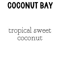 RTS 6-pack Wax Melt Tarts