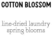 RTS Perfume Mist Mini