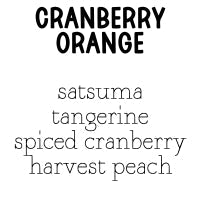 RTS Cleansing Sugar Scrub Large