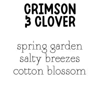 RTS 2-pack Wax Melt Tarts