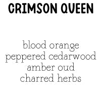 RTS Whipped Cream Body Butter Tube