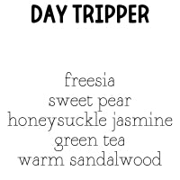 RTS 2-pack Wax Melt Tarts