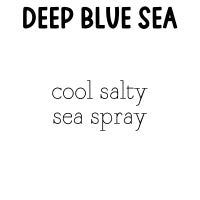 RTS 6-pack Wax Melts