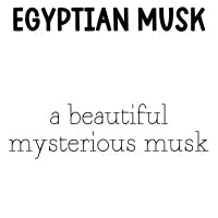 RTS Hand & Body Frosting Lotion