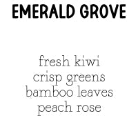 RTS Carpet & Room Refresher