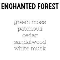 RTS 2-pack Wax Melt Tarts