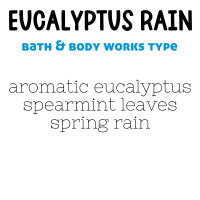 RTS 6-pack Wax Melts