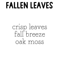 RTS 6-pack Wax Melt Tarts