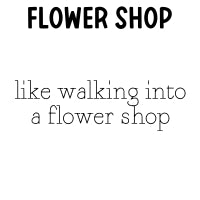 RTS 6-pack Wax Melt Tarts