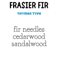 RTS 6-pack Wax Melt Tarts