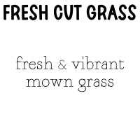 RTS 6-pack Wax Melt Tarts