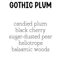 RTS 2-pack Wax Melts