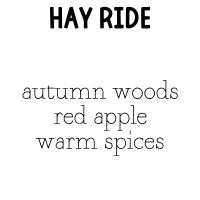 RTS 2-pack Wax Melts