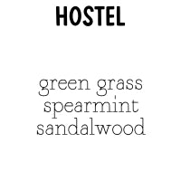 RTS 2-pack Wax Melt Tarts