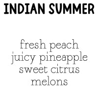 RTS 2-pack Wax Melt Tarts