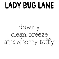 RTS Cleansing Sugar Scrub Large