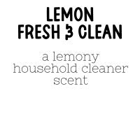 RTS 6-pack Wax Melts