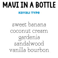 RTS Sugar Body Scrub Small