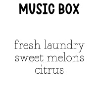 RTS 6-pack Wax Melt Tarts