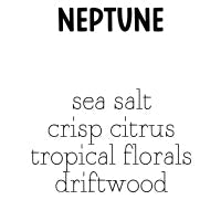 RTS 2-pack Wax Melt Tarts