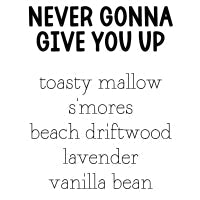 RTS 2-pack Wax Melts