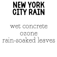 RTS 6-pack Wax Melt Tarts